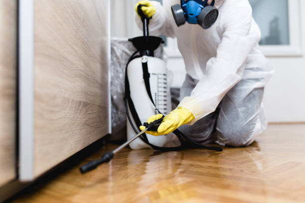 Professional Pest Control in Collinwood, TN