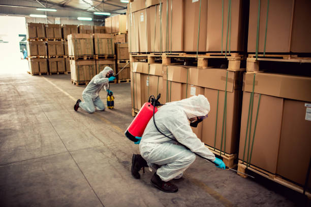 Best Wasp Removal Services  in Collinwood, TN