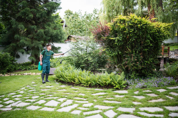 Best Best Pest Control Companies  in Collinwood, TN