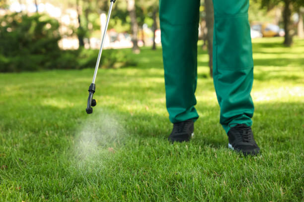 Best Wildlife Control Services  in Collinwood, TN