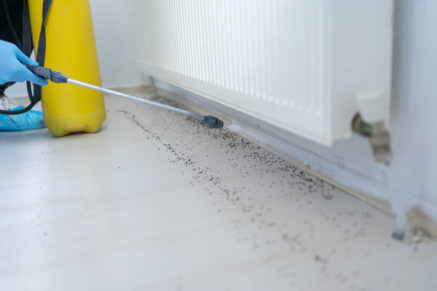 Best Cockroach Control Services  in Collinwood, TN