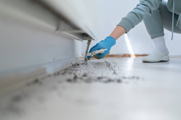 Best Affordable Pest Control Services  in Collinwood, TN